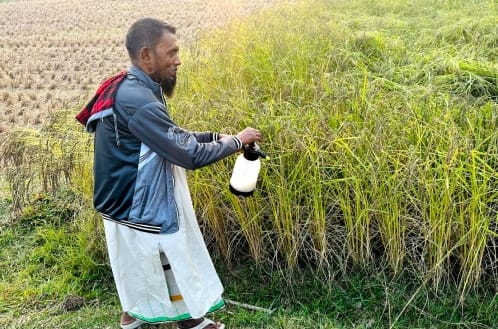 Pesticide Reduction