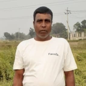 Rice Farmer in Bangladesh