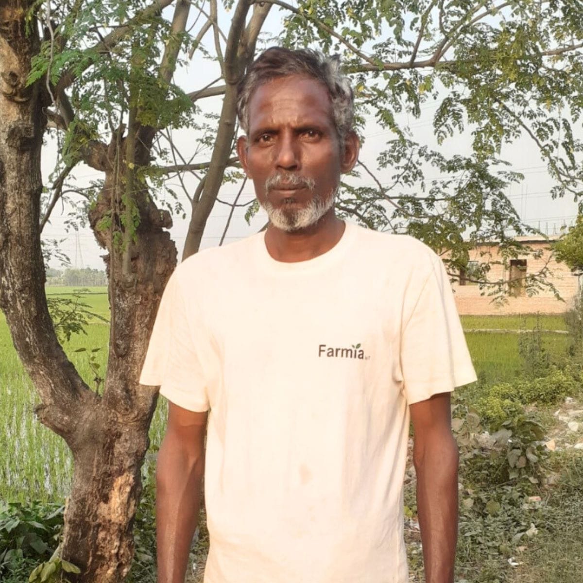 Md Samshed - Rice Farmer in Bnagladesh