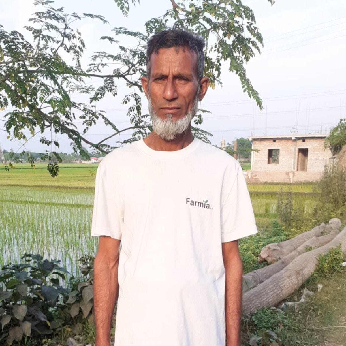 Bashar Ali - Rice farmer in Bangladesh
